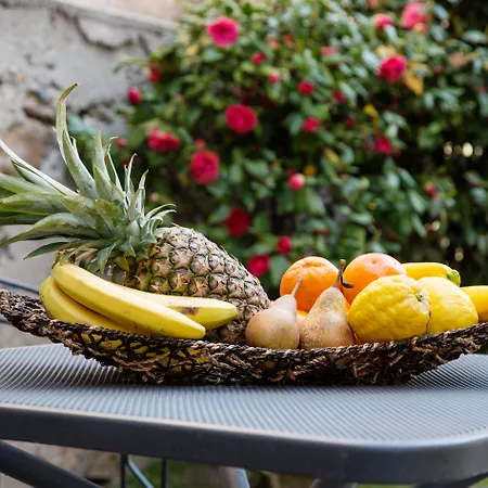 ミーティング ホテル 3*