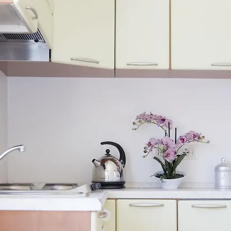 ミーティング ストレーザ