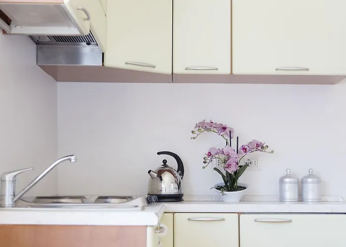 Meeting Stresa